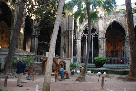 Cómo visitar la Catedral de Barcelona (Guía)