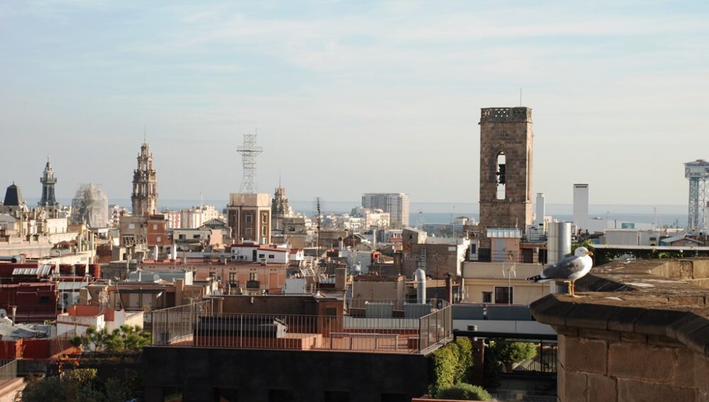 Cómo visitar la Catedral de Barcelona (Guía)