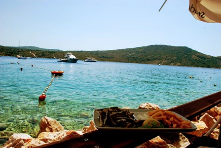 Las ricas sardinas que nos comimos en Primosten junto al mar (Croacia)