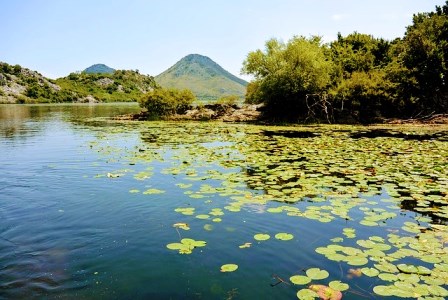 Parque Nacional del lago Skadar en Montenegro