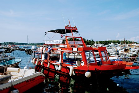 Estupendo paseo en barco por el archipiélago de Rovinj (Croacia)