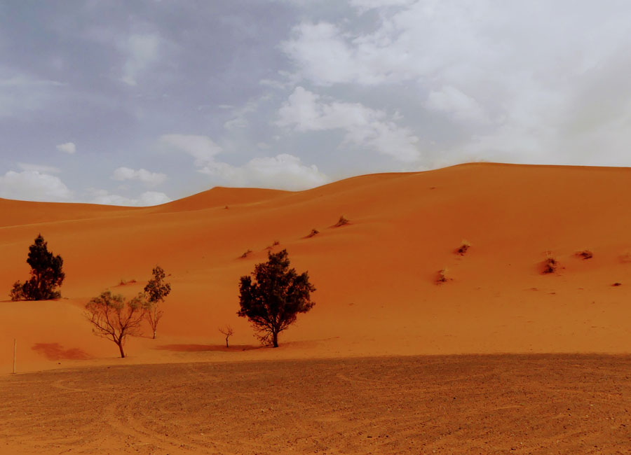 Qué ver y hacer en el desierto de Merzouga en 1 o 2 días