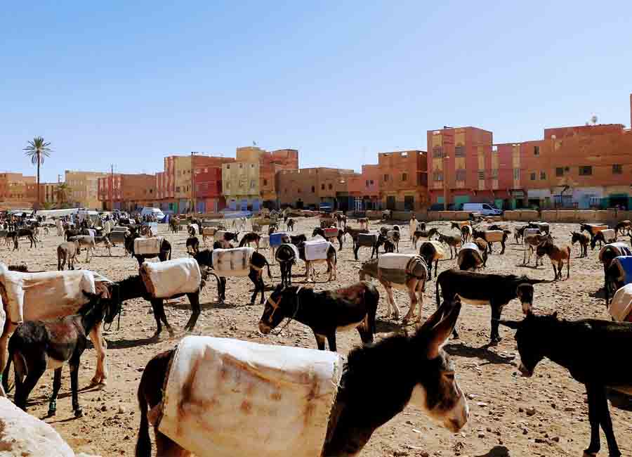 Ruta de las 1000 Kasbahs, desde Marrakech al desierto