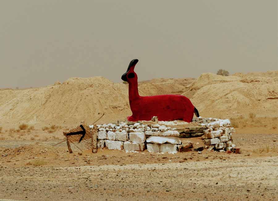 Ruta de las 1000 Kasbahs, desde Marrakech al desierto